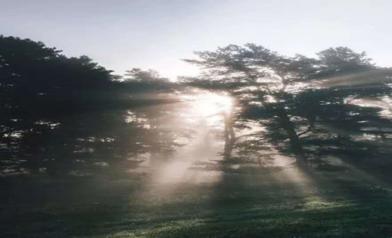 沈陽墓園墓穴安葬證丟失怎么辦
