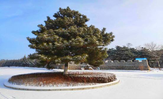 沈陽墓園立碑需要掌握哪些要領