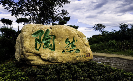 沈陽墓園為什么要在清明節時掃墓