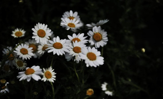 墓地明堂準則和山川的關系