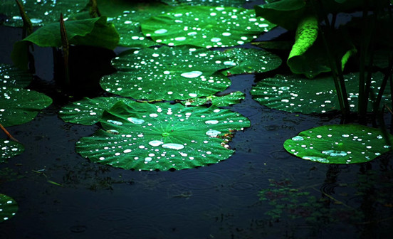 西北喪葬風俗里的那些“喪”和“葬”！（5）