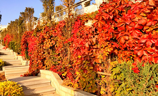 殯葬常識——辦理喪事注意事項