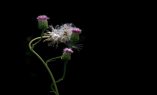 2019年6月份哪一天掃墓最好