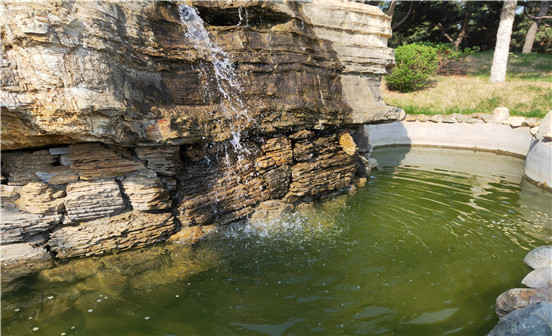 選擇墓地的絕招你知道嗎？