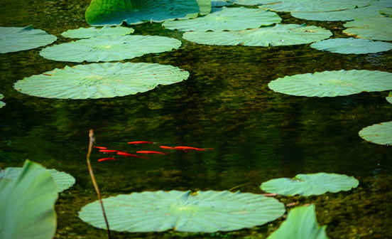 墓地基礎(chǔ)知識