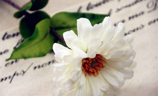 清明掃墓合適的時間