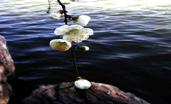 參加葬禮后的習俗