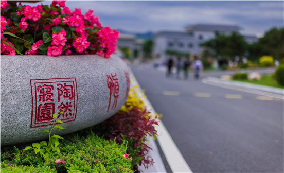 墓地的性質是什么？