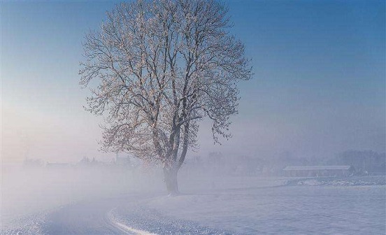 秦服的特點(diǎn)和意義是什么?