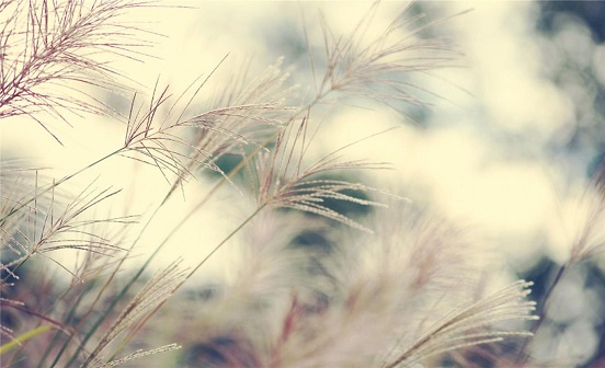 關(guān)于長(zhǎng)沙的喪葬習(xí)俗