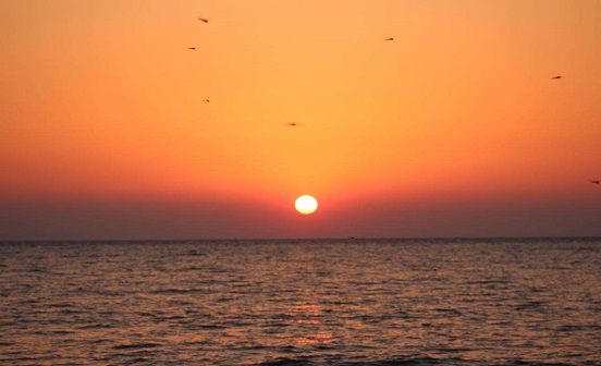 沈陽墓園哪家好|墓地排號的具體意義（二）