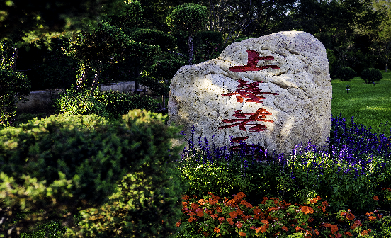 為什么用白色代表喪事？