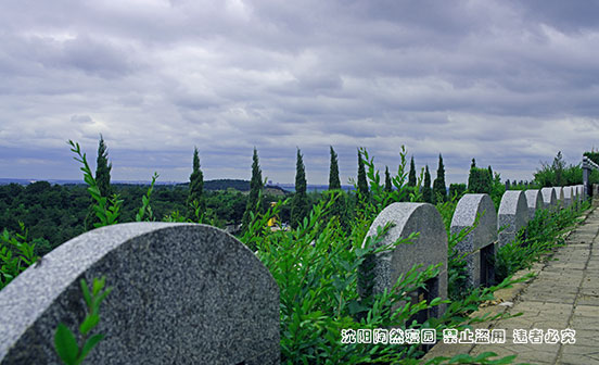 墓地的價格為何越來越貴