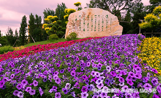 沈陽陶然寢園在哪？價格高嗎？