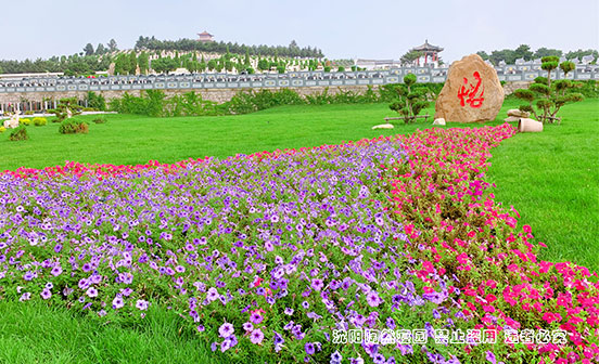 關于“葬”和下葬