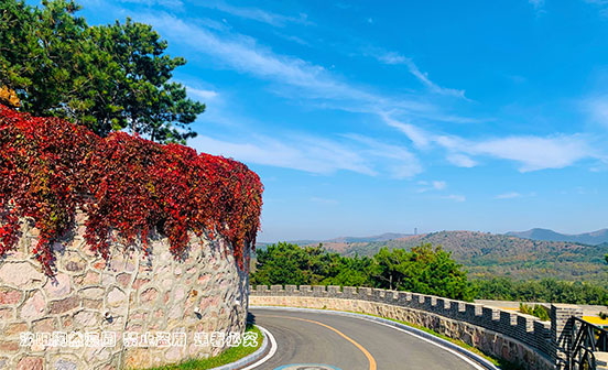 骨灰寄存服務為什么受歡迎？