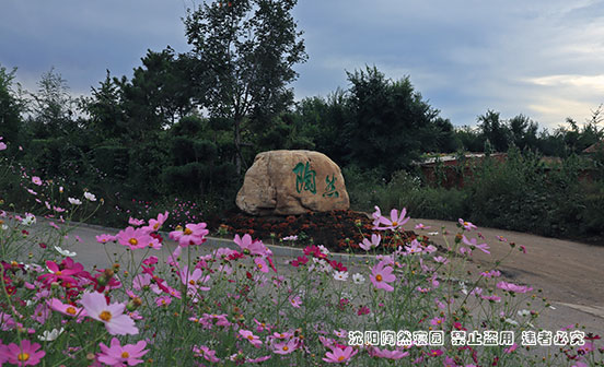 為何選擇花壇葬的年輕人越來越多