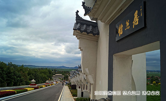 清明節掃墓：傳承文化，緬懷先人，擁抱未來