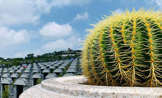 生命晶體葬：永恒之美，創新之選