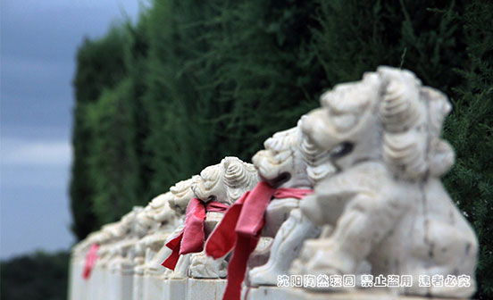 石獅守護：墓碑前的莊嚴與祈愿
